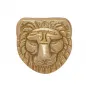 Fierce Lion Solid Brass Fitting / Adornment