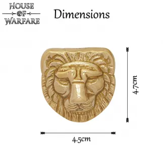 Fierce Lion Solid Brass Fitting / Adornment