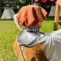 Early 17th Century Forged Steel Gorget