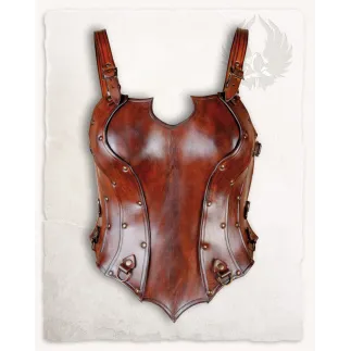 Bustier de Cuir 