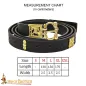 Ceinture